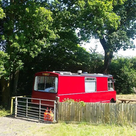 Hotel The Megabus Near Tavistock And Dartmoor. Lamerton Zewnętrze zdjęcie